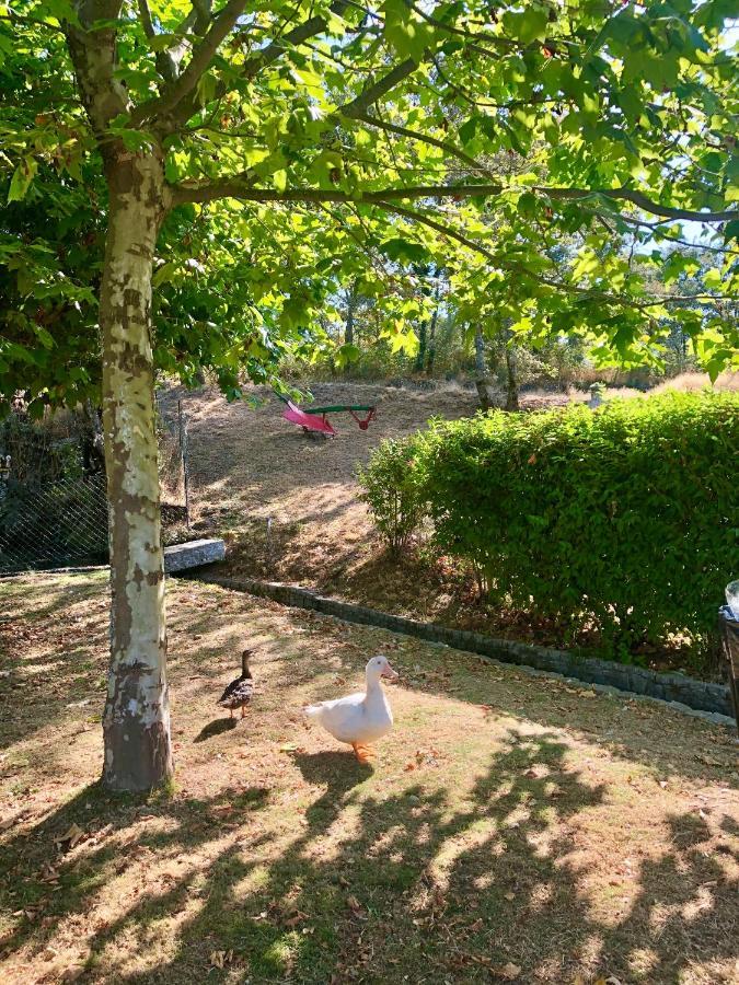 Casa Da Quinta Da Prelada Simao Partie Basse Villa เซลอริโก จิ บาสโต ภายนอก รูปภาพ