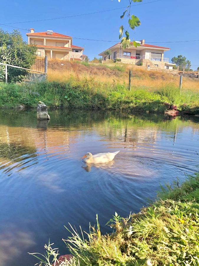 Casa Da Quinta Da Prelada Simao Partie Basse Villa เซลอริโก จิ บาสโต ภายนอก รูปภาพ