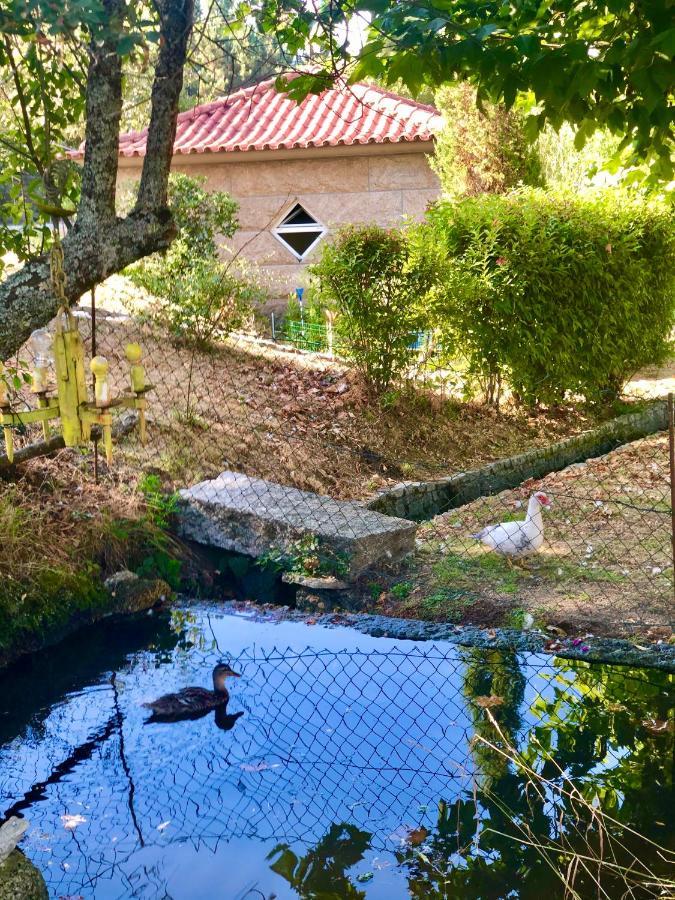 Casa Da Quinta Da Prelada Simao Partie Basse Villa เซลอริโก จิ บาสโต ภายนอก รูปภาพ