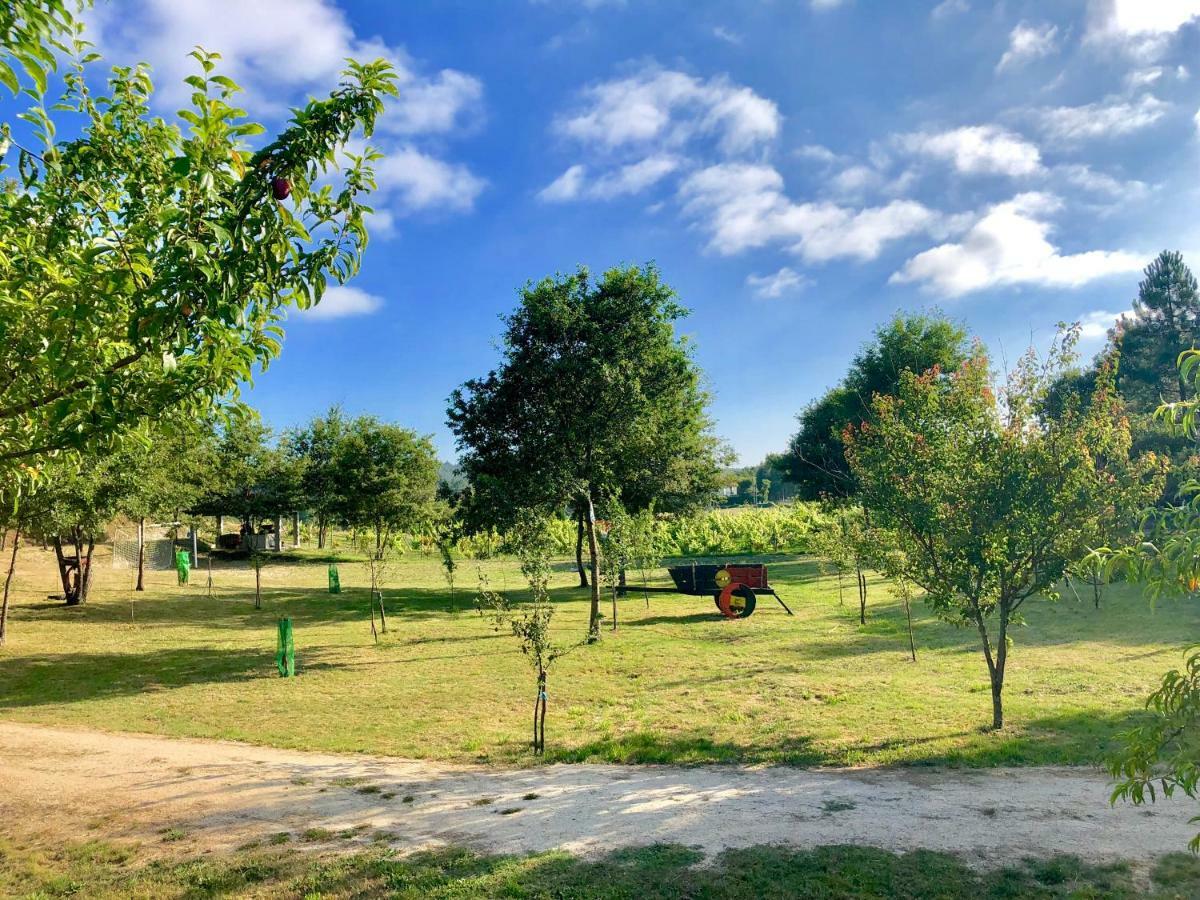 Casa Da Quinta Da Prelada Simao Partie Basse Villa เซลอริโก จิ บาสโต ภายนอก รูปภาพ