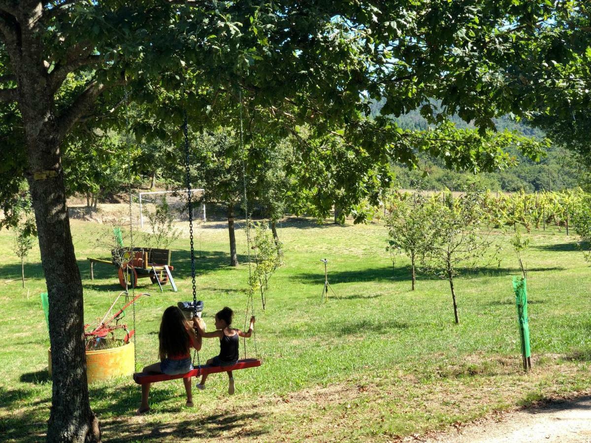 Casa Da Quinta Da Prelada Simao Partie Basse Villa เซลอริโก จิ บาสโต ภายนอก รูปภาพ