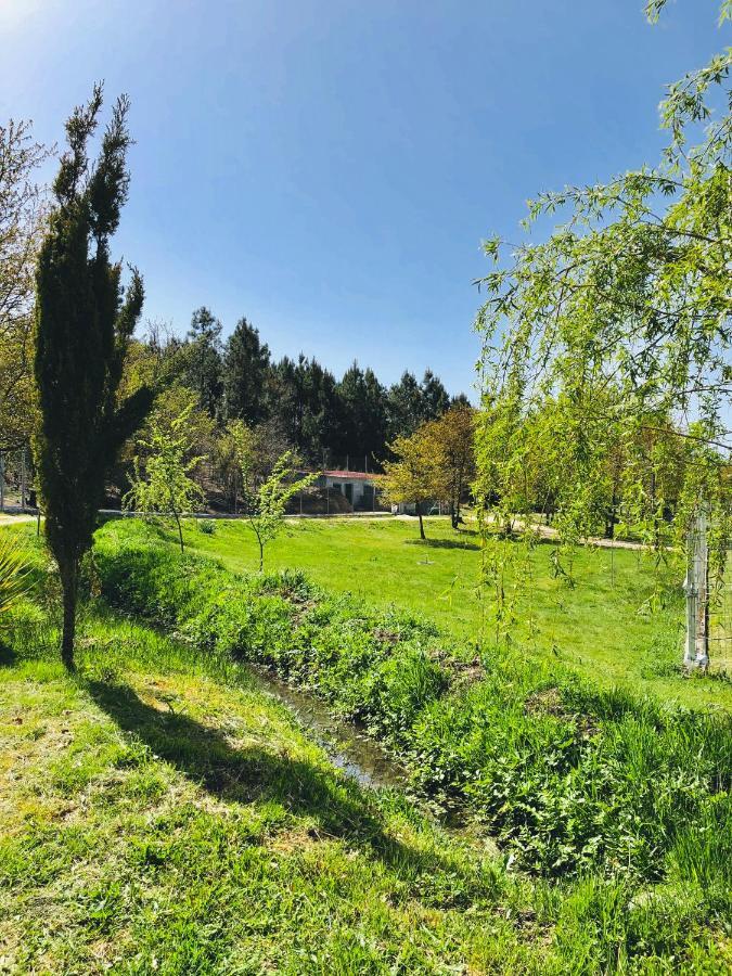 Casa Da Quinta Da Prelada Simao Partie Basse Villa เซลอริโก จิ บาสโต ภายนอก รูปภาพ